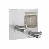 Elkay EZH2O® Wall Mount Plastic and Stainless Steel Indoor Bottle Filling Station