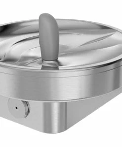 Oasis Radii™ Wall Barrier Free Drinking Fountain in Brushed Stainless Steel