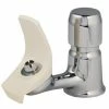 Elkay Deck Mount Single Hole Push Button Metal Classroom Bubbler in Stainless Steel